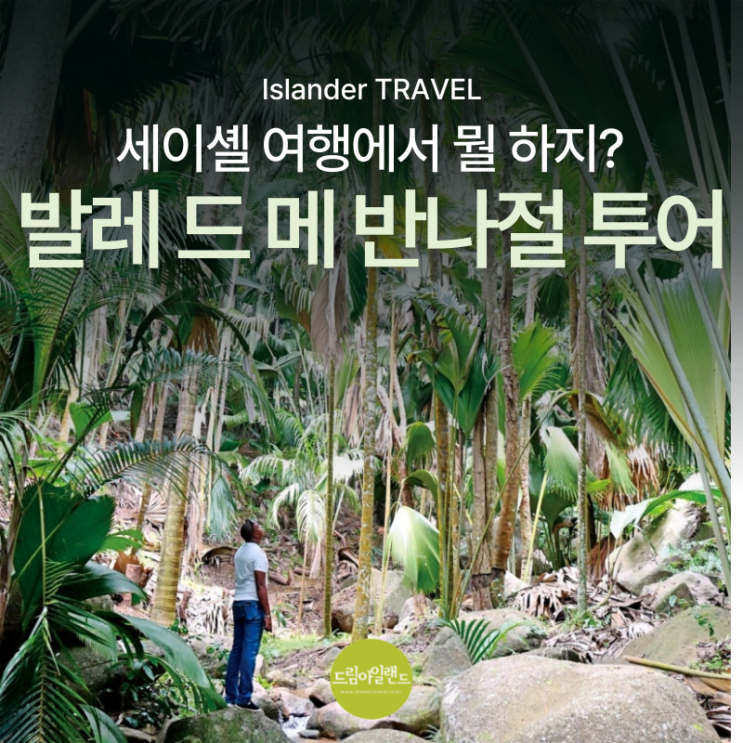 세이셸 여행에서 뭘 하지? 아일랜더가 추천하는 섬별 추천 익스커션 1.발레 드 메 국립공원 투어