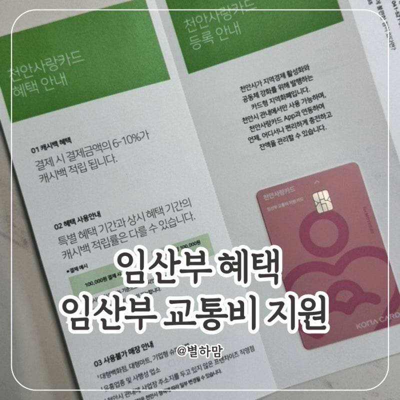 임산부 혜택_천안시 임산부 교통비 지원