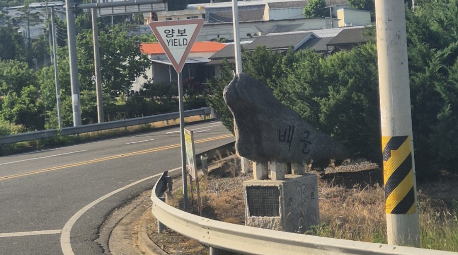 배골 사진 1
