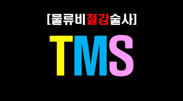  [물류비절감술사] 23년 물류베테랑'술사'가 생각하는 'TMS'란?