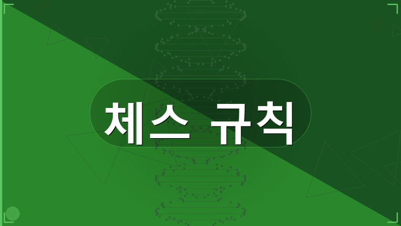 체스 규칙 게임 방법 및 기물 행마법 총정리