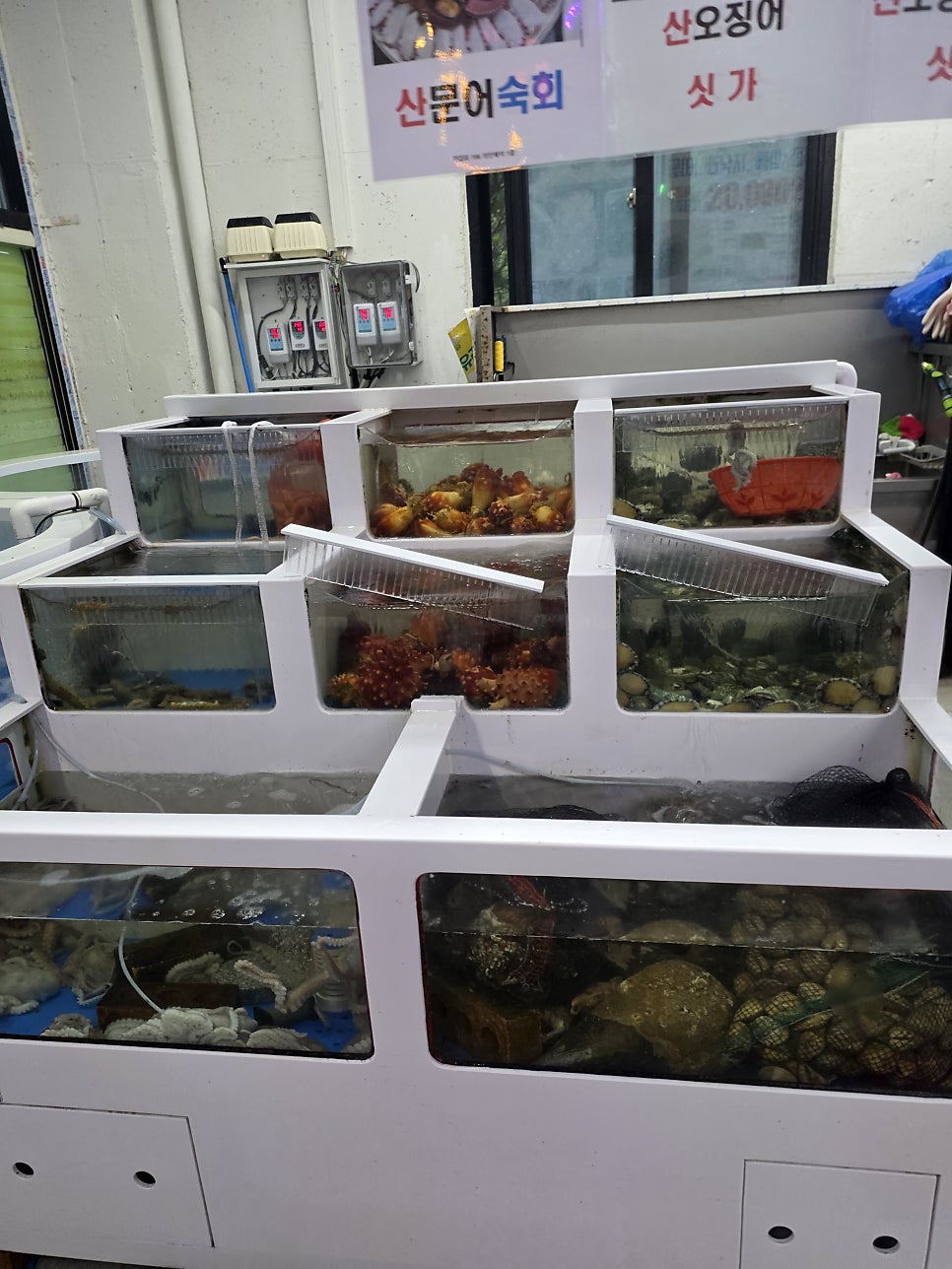 완도수산야채막회 전주대점 사진 5
