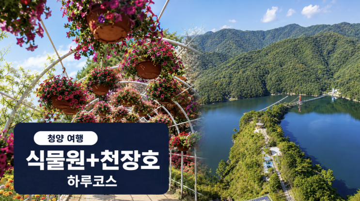  청양 고운식물원 여행, 천장호와 묶기 좋은 하루 코스