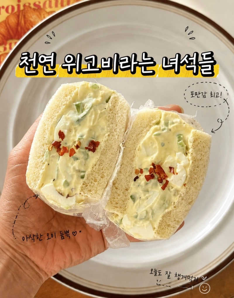 다이어트샌드위치 그릭요거트소스 계란 오이 샌드위치 레시피