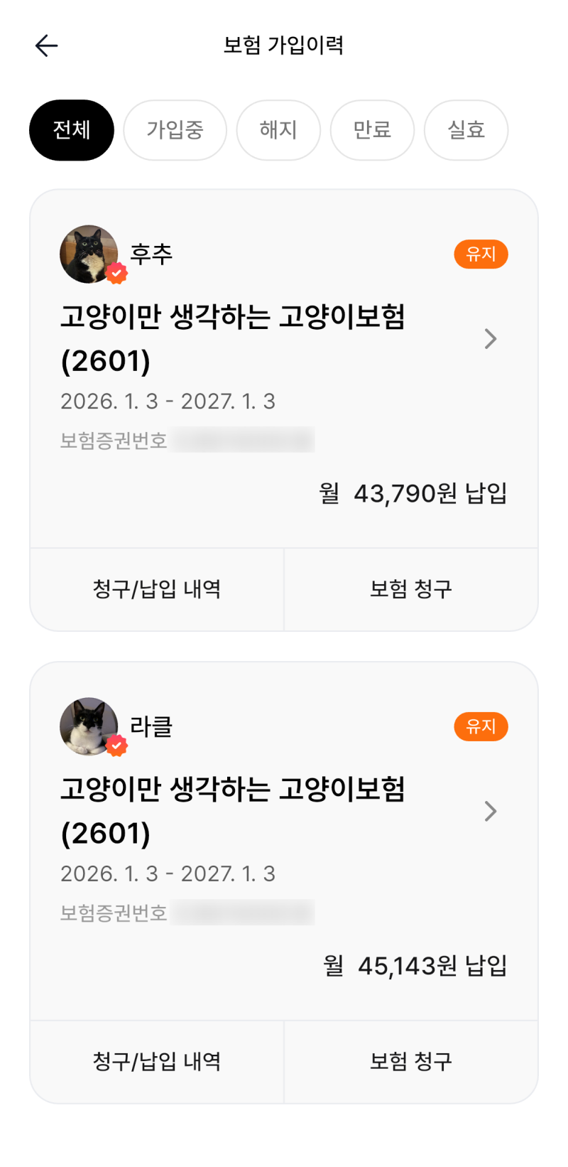 마이브라운 보험 청구 후기 - 보험료 및 보험금 공개 (고양이 스케일링, 발치)