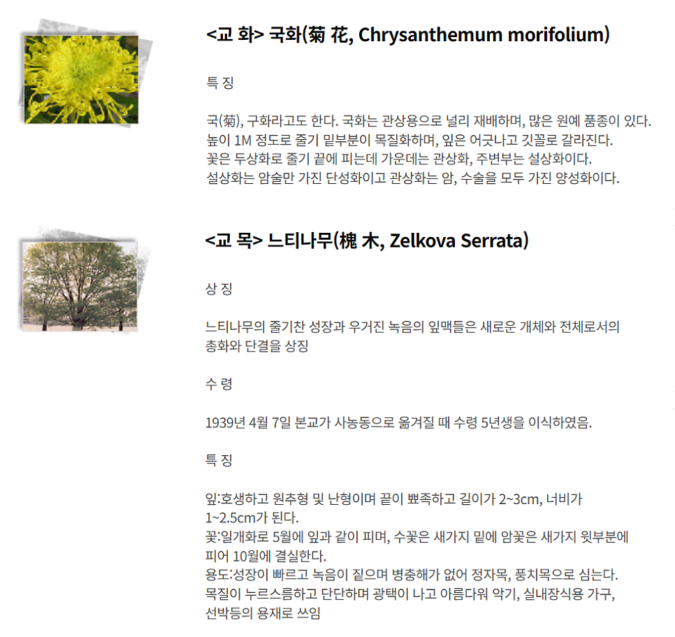 알마 사진 2