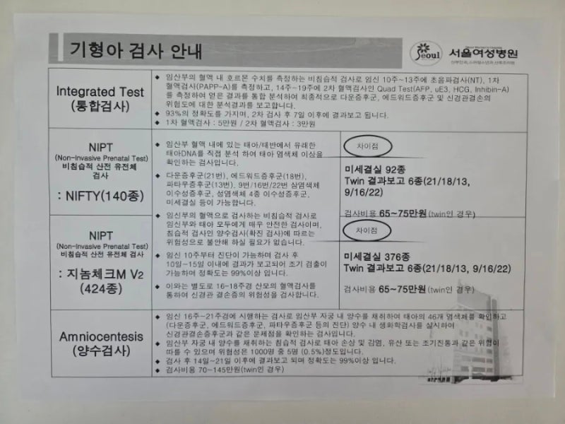 [11주차]쌍둥이들의 1차 기형아검사, 니프티 고민과 목투명대(NT) 3.75mm 진단 그 후-
