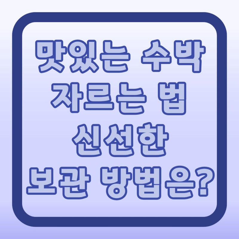 맛있는 꿀수박 깍둑썰기 자르는 법! 보관은 밀폐통이 최고?