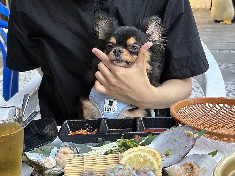 누나네식당 사진 3