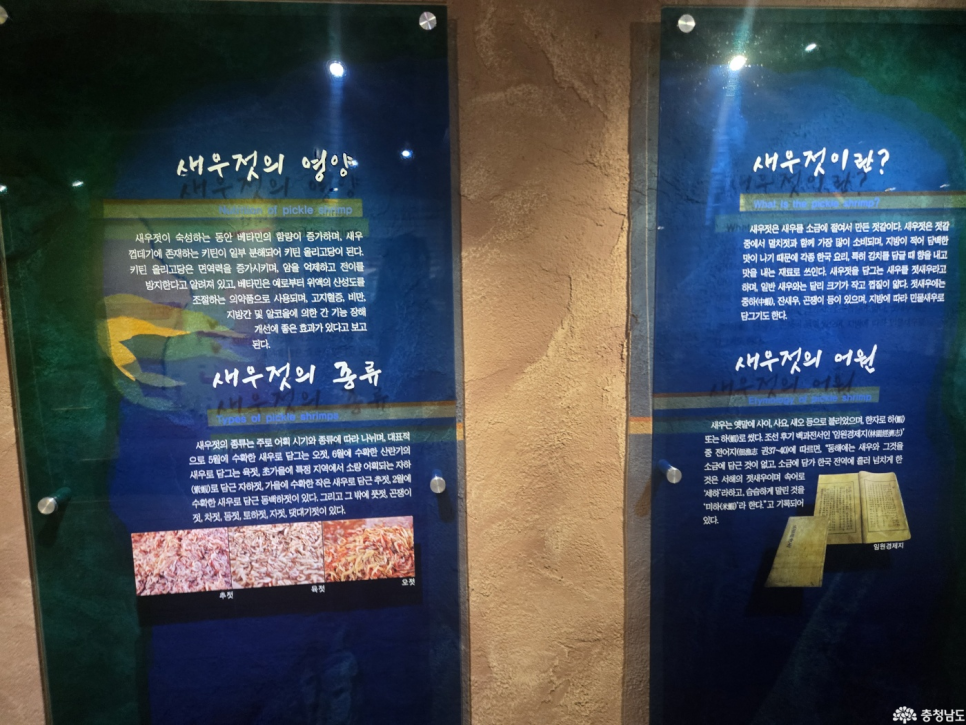광천토굴새우젓 홍보전시관 사진 5