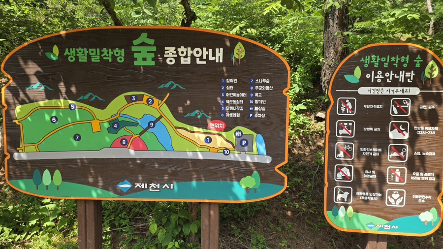 용두산산림욕장 사진 4