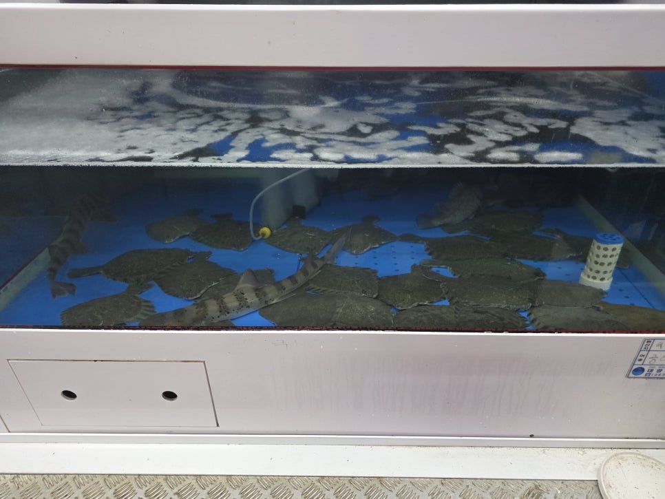완도수산야채막회 전주대점 사진 6