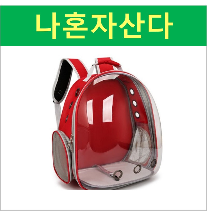 나혼자산다 전현무 강아지 반려동물 이동 가방 캐리어 추천