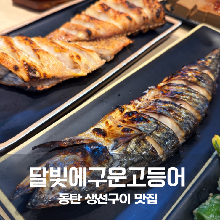  달빛에구운고등어 동탄 예당마을점 촉촉한 화덕 생선구이와 제육볶음 뚝배기불고기 별미