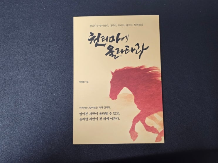  144. 자기계발서 명언 책 추천 천리마에 올라타라