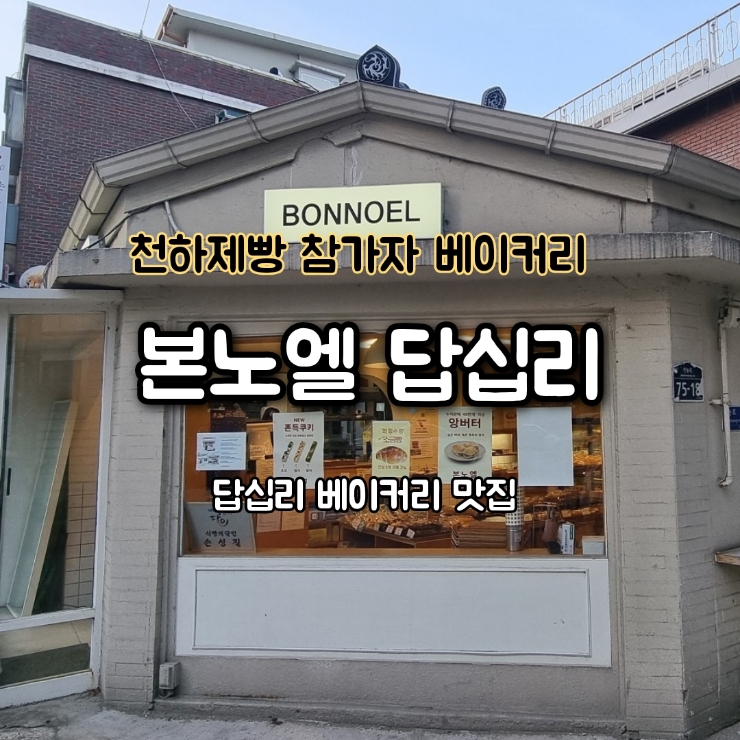 본노엘 사진