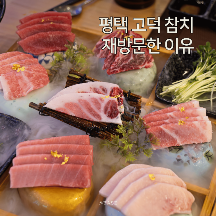  평택 참치 맛집 찾는다면? 참치 무한리필 가능한 일도참치 고덕점 후기