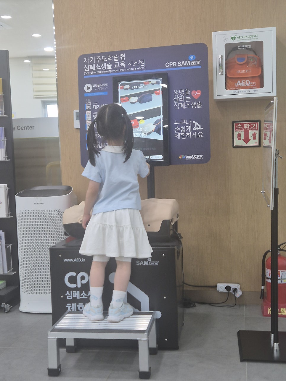 요시 사진 6