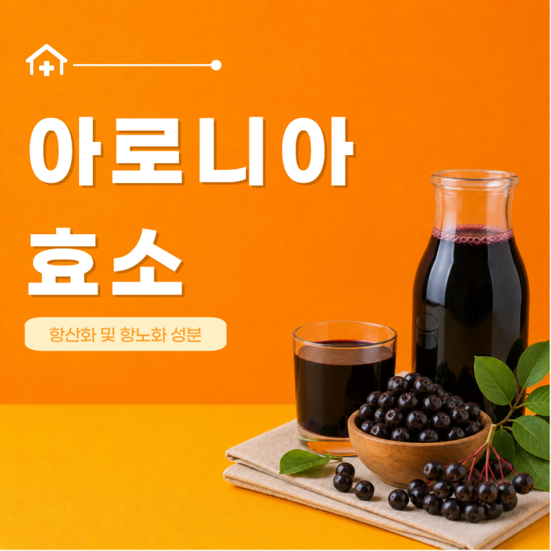 아로니아효소 효능 만드는법 만들기 먹는방법 보관 법 유통기한 부작용