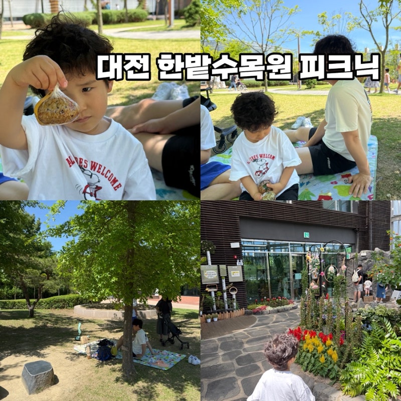 대전 당일치기 코스 대전 피크닉 대전 한밭 수목원 곤충생태관 추천