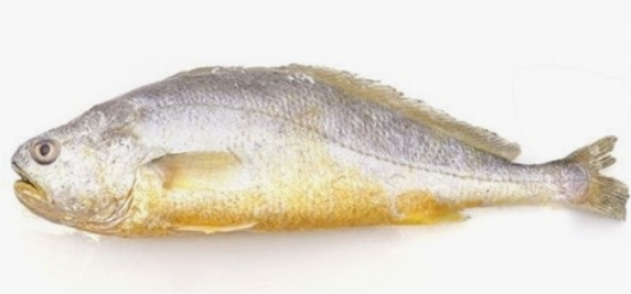 부세조기 효능, 뜻, 구이, 반건조, 찜, 요리방법, 손질, 냉동, 굽는법, 백조기 차이, 참조기 차....
