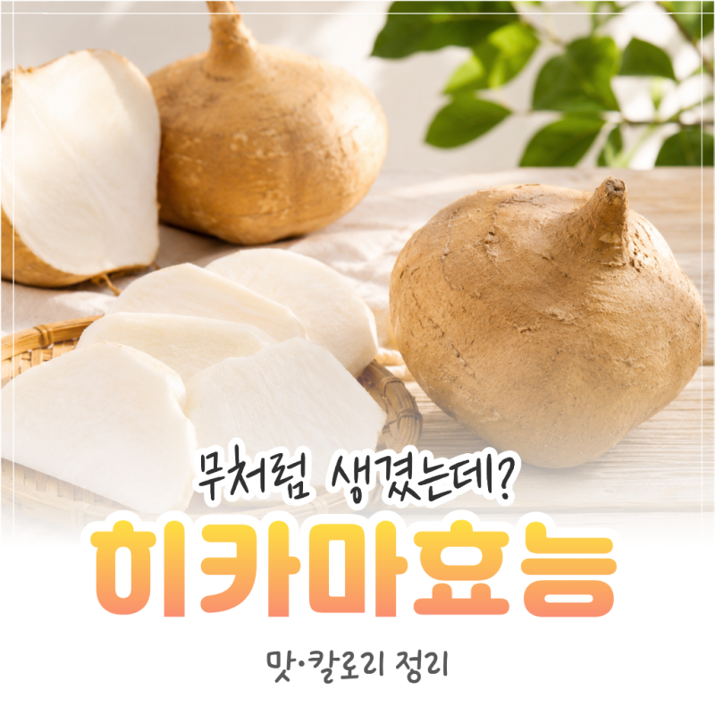 히카마 뜻과 효능, 맛·칼로리·보관법까지 정리