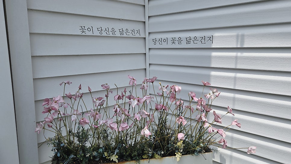 호호손수제비 사진 3