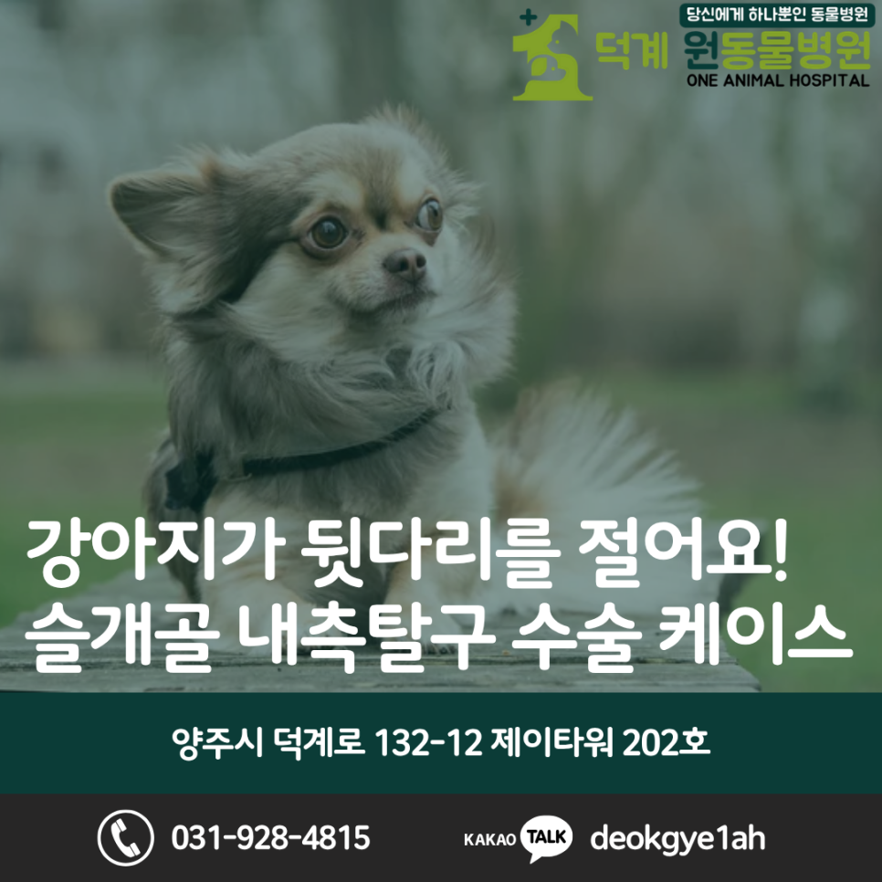 덕계원동물병원 사진 1