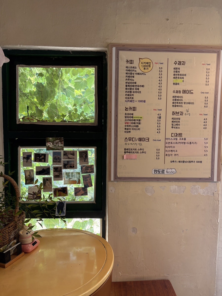 안도르 사진 5