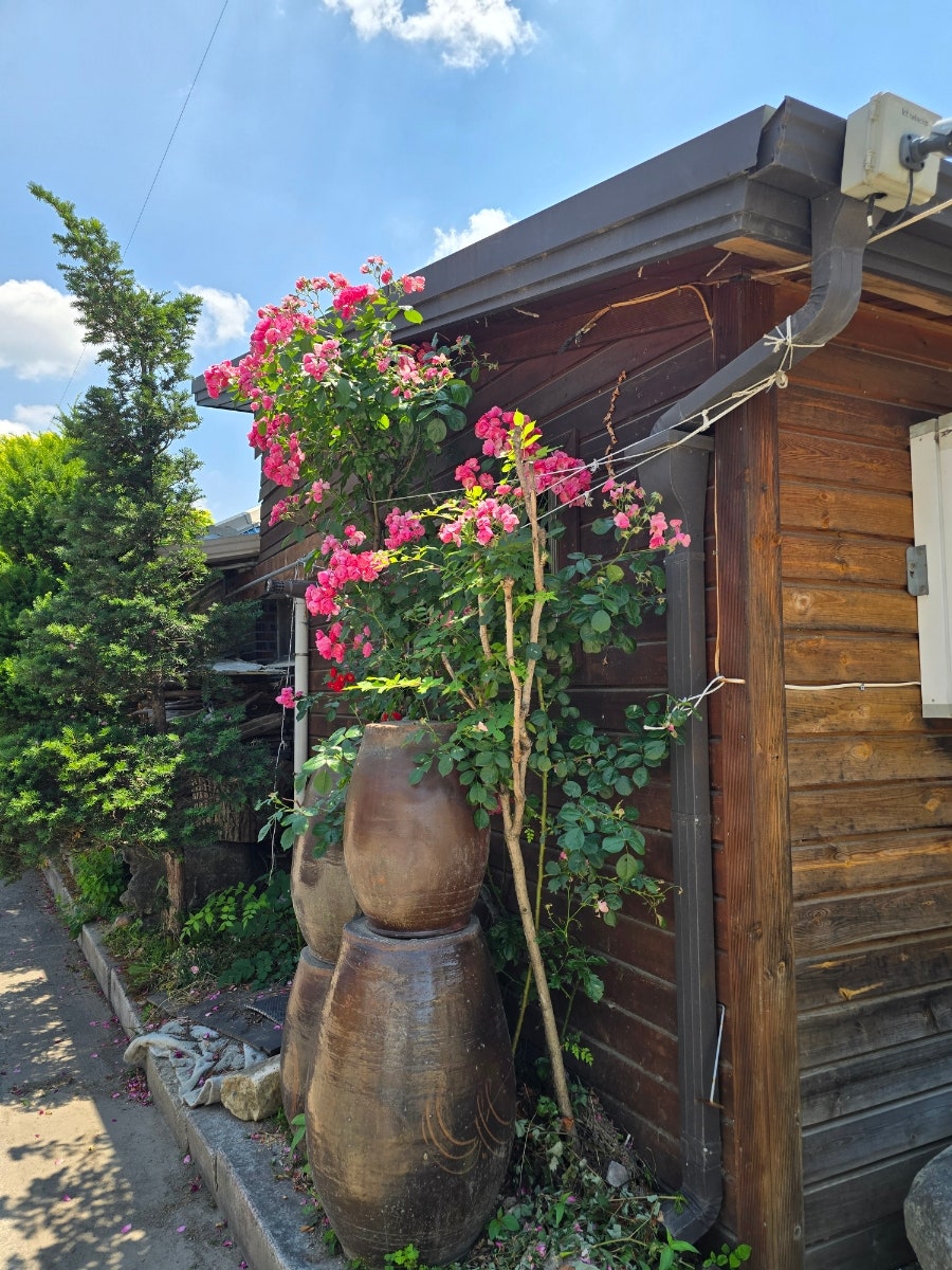 전주식당 사진 2