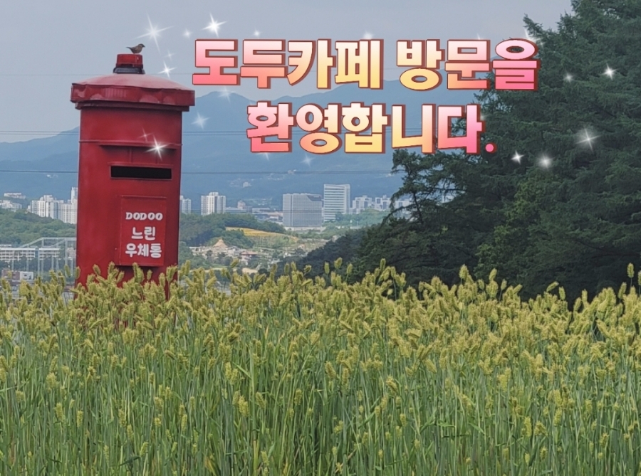 도두카페 사진 1