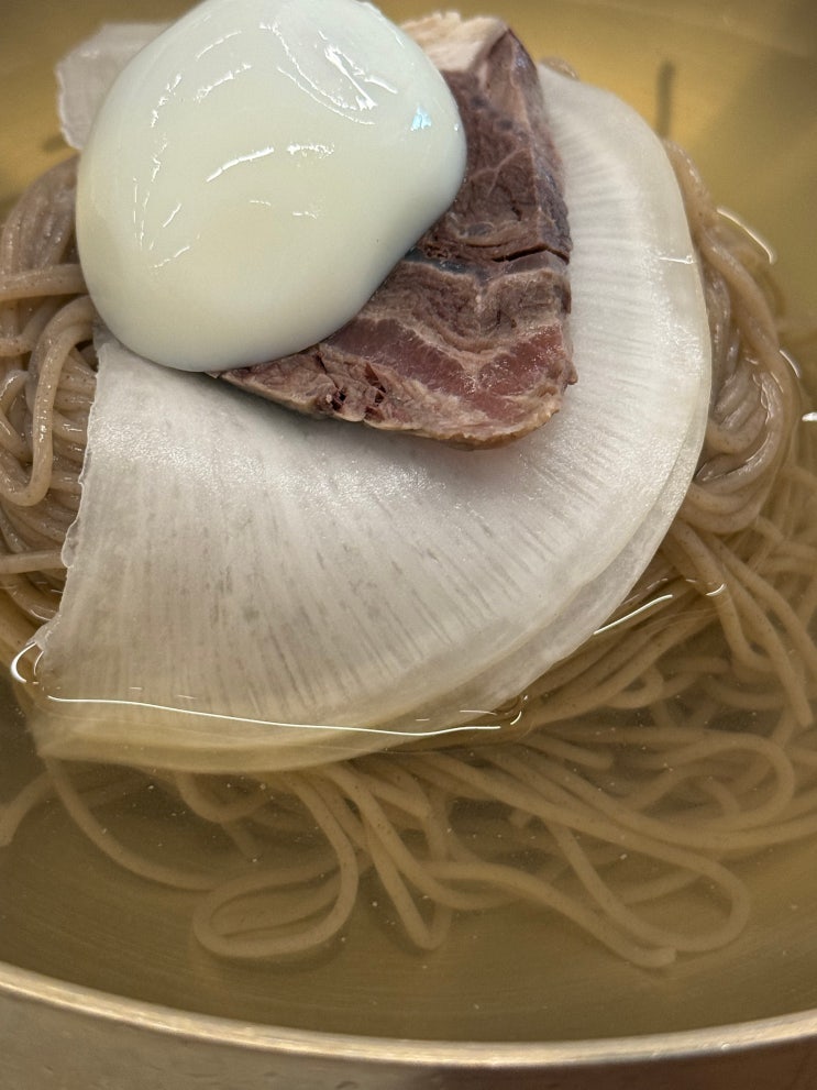  대전 평양냉면 맛집 도마동 평양옥 솔직 후기 (특징 총정리)