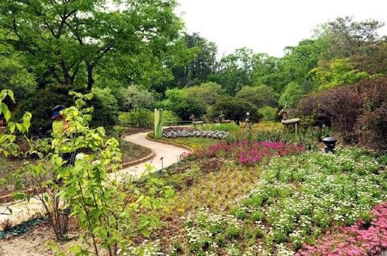 Recommended June Domestic Travel Destinations: Hidden Gems in Northern Gyeonggi for Weekend Outings with Kids