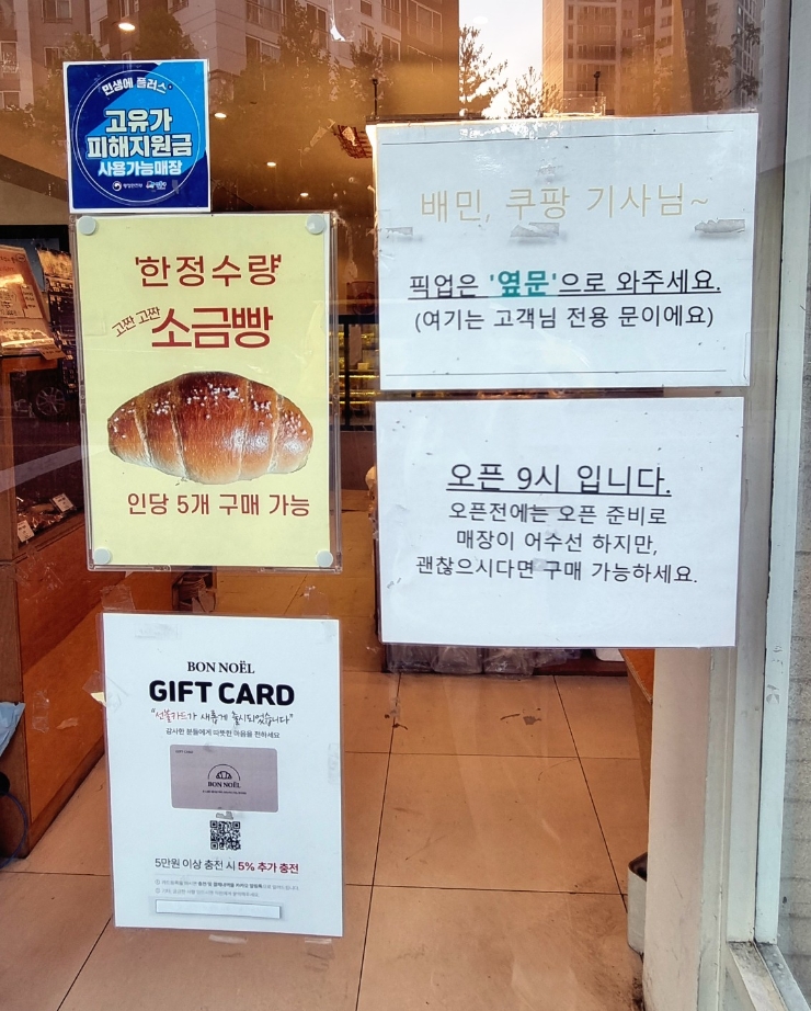 본노엘 사진 6