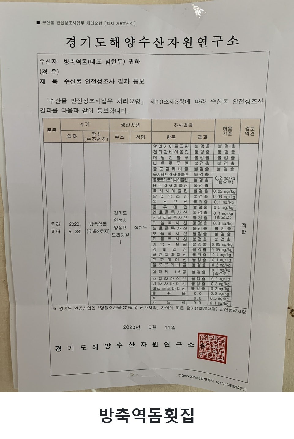 방축역돔횟집 사진 3