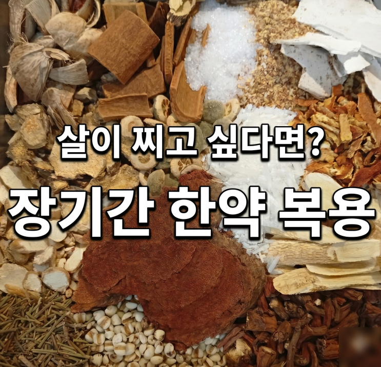  분당 정자역 살 찌는 한의원 한약 추천 있나요??