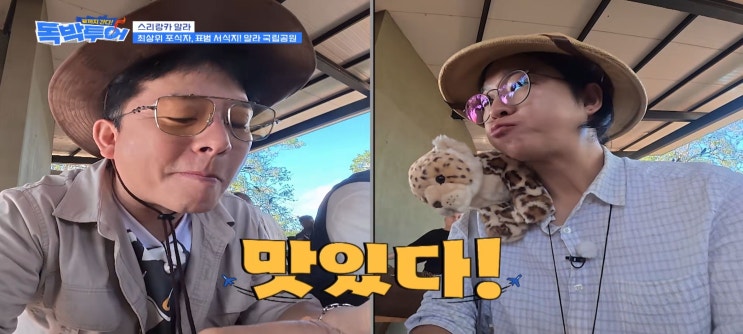  끝까지간다 독박투어 스리랑카 표범 얄라국립공원 케타카아가 숙소 카타라카마 사원 바비큐식당 니돈내산독박투어5