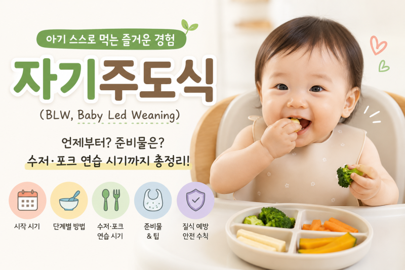 자기 주도 이유식 언제부터 시작하면 좋을까요? - 준비물, 수저 연습, 실제 후기까지 총정리