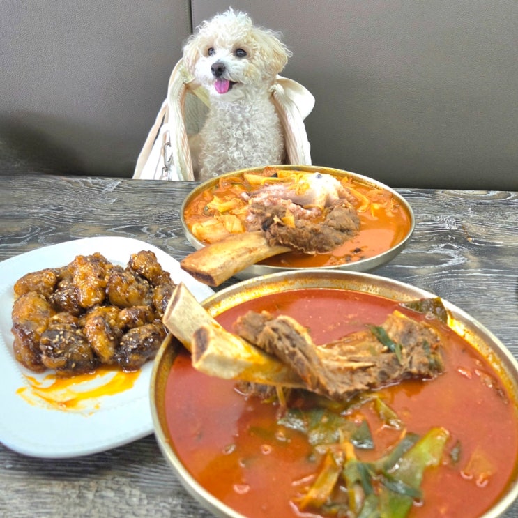  강화도 맛집 육짬 강화도본점｜갈낙짬뽕 육갈탕 표고탕수 솔직후기, 애견동반 가능