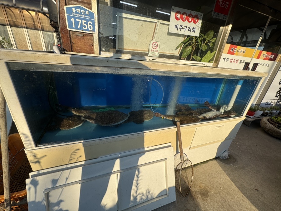 제일나루터 사진 4