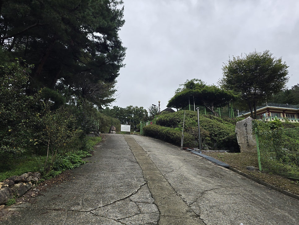 봉대산 사진