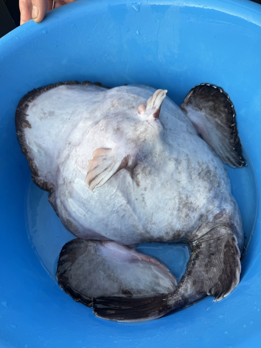 제일나루터 사진 5