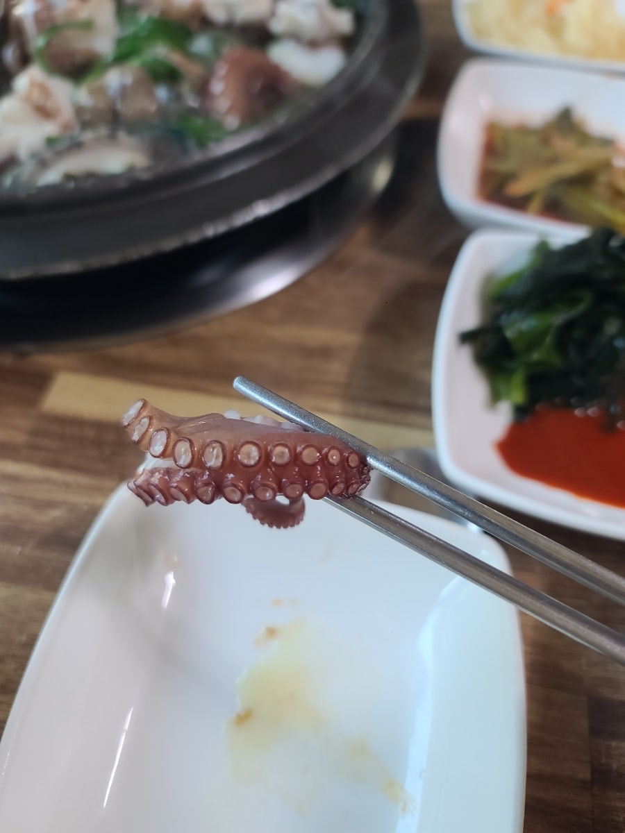 매봉골 사진 5
