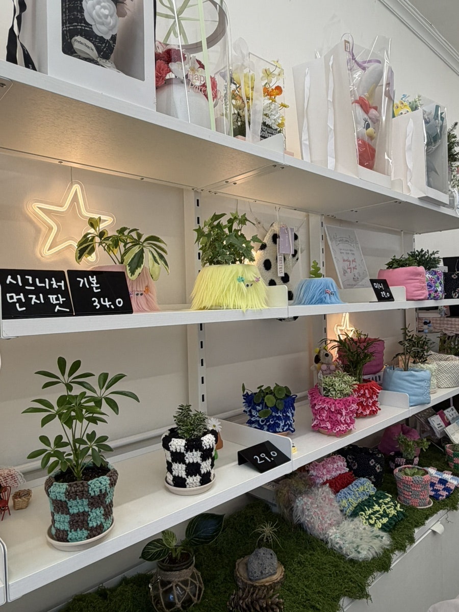 릴리그린 사진 6