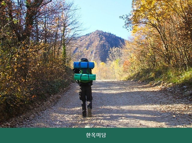 미담 사진 3