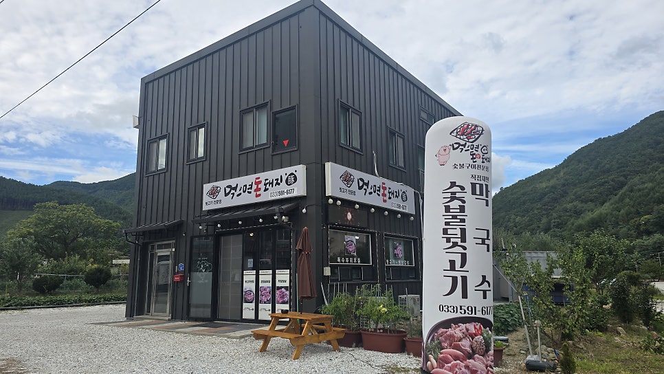 먹으면돈돼지 사진 2
