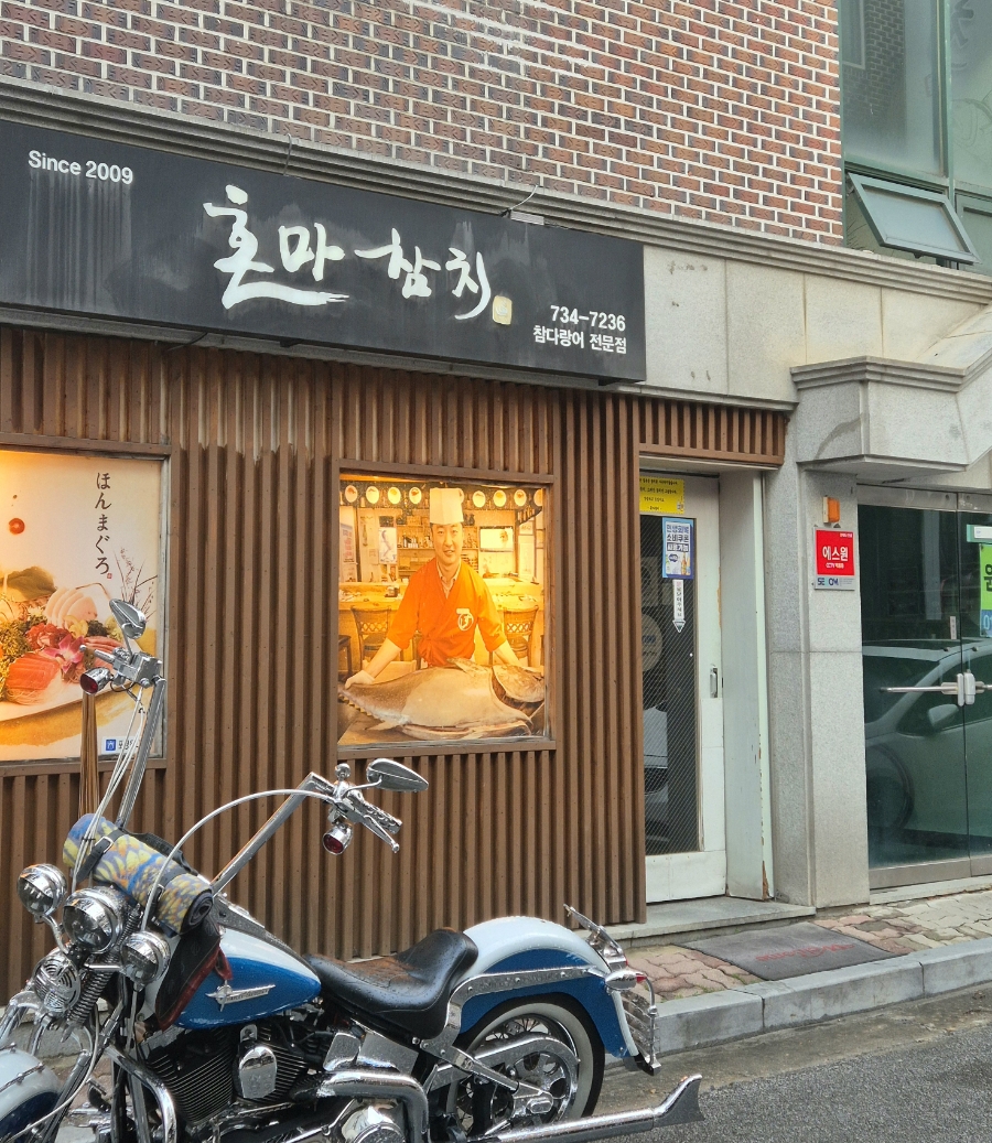 혼마참치 사진 2