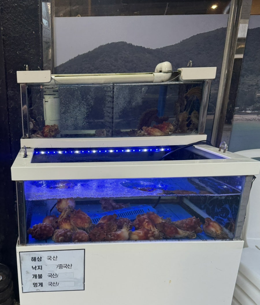 바다생각 사진 3