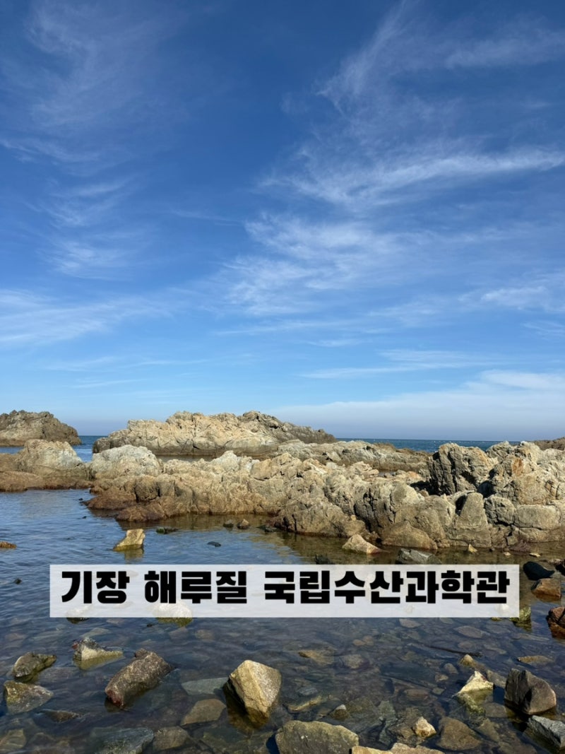 부산 해루질 추천 - 기장 국립수산과학관 추천이유 , 편의성최고 , 부산아이와가볼만한곳