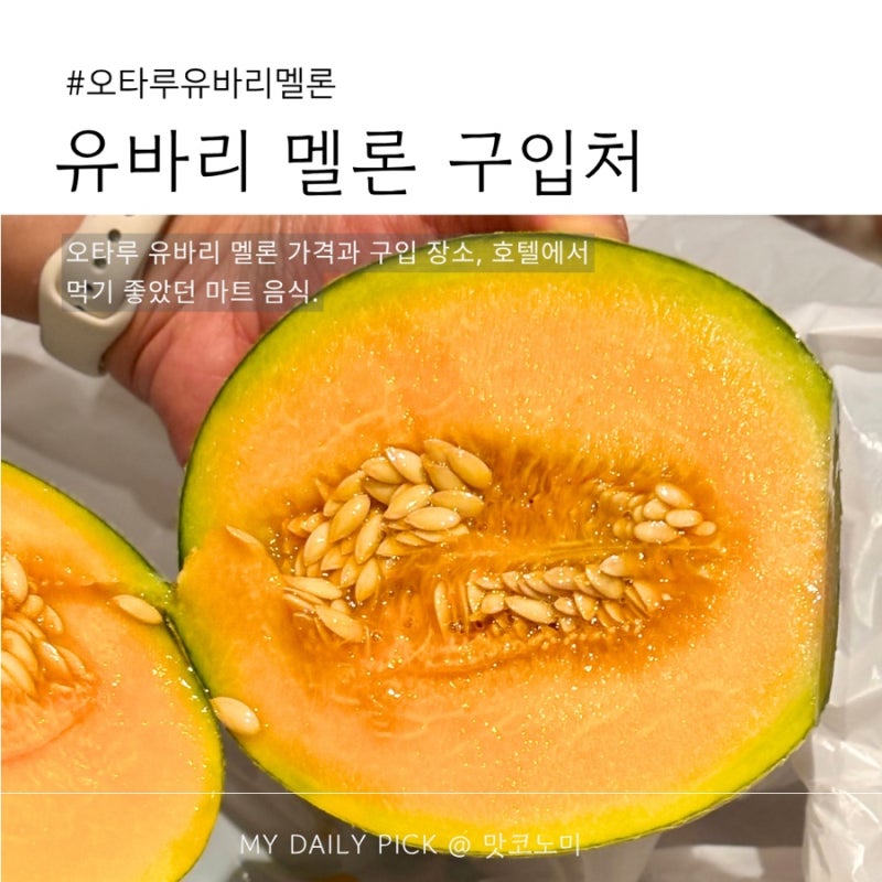오타루 유바리 멜론 구입 후기 | 위치, 가격, 맛, 돈키호테 지하마트 도시락까지